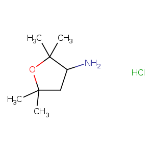 2,2,5,5-Tetramethyltetrahydrofuran-3-amine hydrochloride