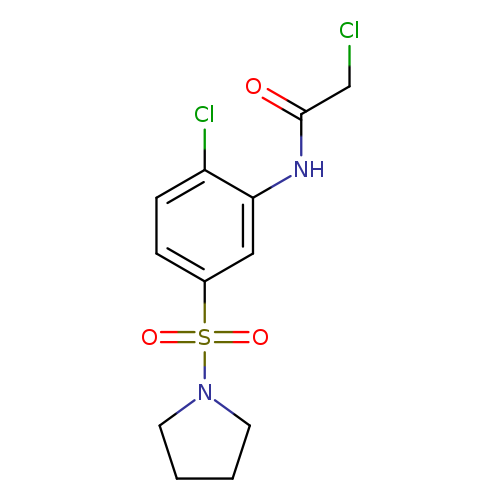 2-chloro-N-[2-chloro-5-(pyrrolidine-1-sulfonyl)phenyl]acetamide