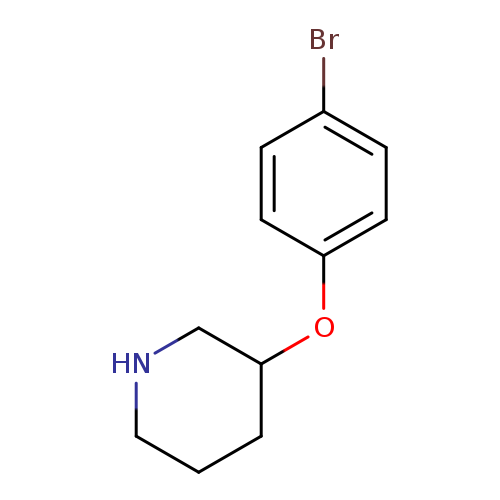 3-(4-Bromophenoxy)piperidine