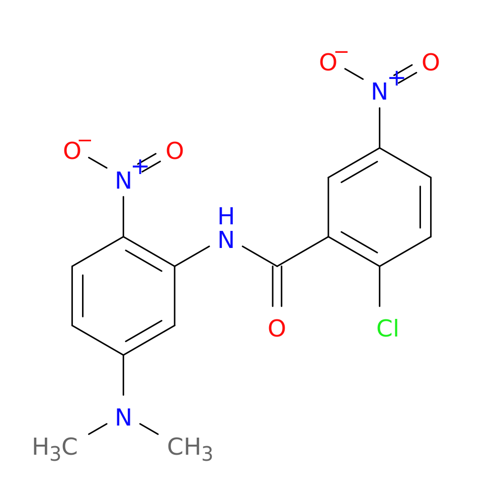 2-Chloro-N-[5-(dimethylamino)-2-nitrophenyl]-5-nitrobenzamide