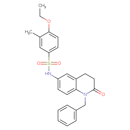 N-(1-benzyl-2-oxo-1,2,3,4-tetrahydroquinolin-6-yl)-4-ethoxy-3-methylbenzene-1-sulfonamide