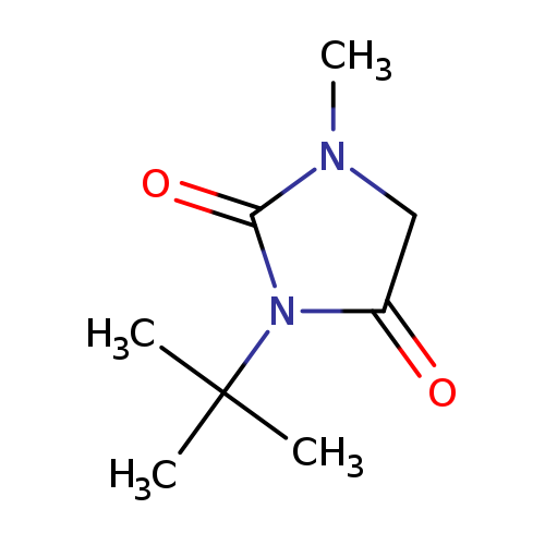 3-tert-butyl-1-methylimidazolidine-2,4-dione