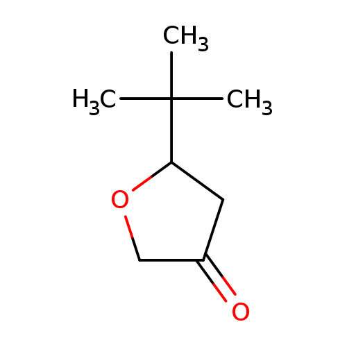 5-tert-butyloxolan-3-one