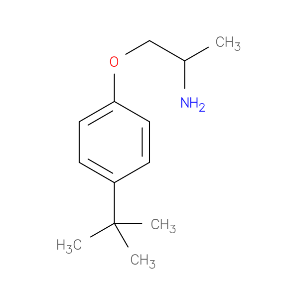 1-(4-tert-butylphenoxy)propan-2-amine