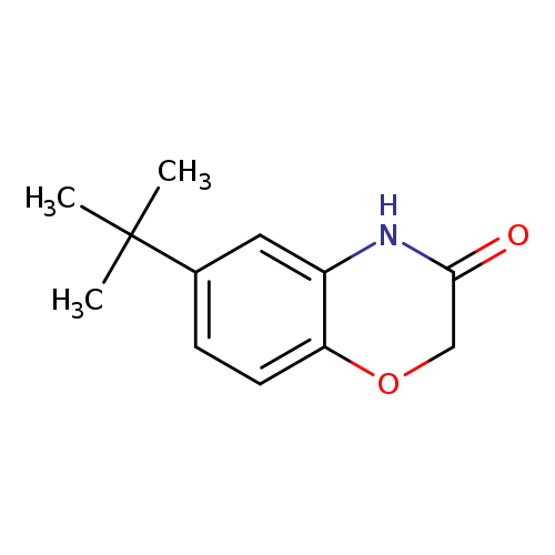 6-(TERT-BUTYL)-2H-1,4-BENZOXAZIN-3(4H)-ONE