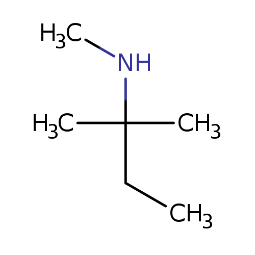 methyl(2-methylbutan-2-yl)amine