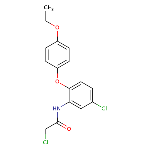 2-chloro-N-[5-chloro-2-(4-ethoxyphenoxy)phenyl]acetamide