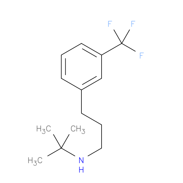 tert-butyl({3-[3-(trifluoromethyl)phenyl]propyl})amine