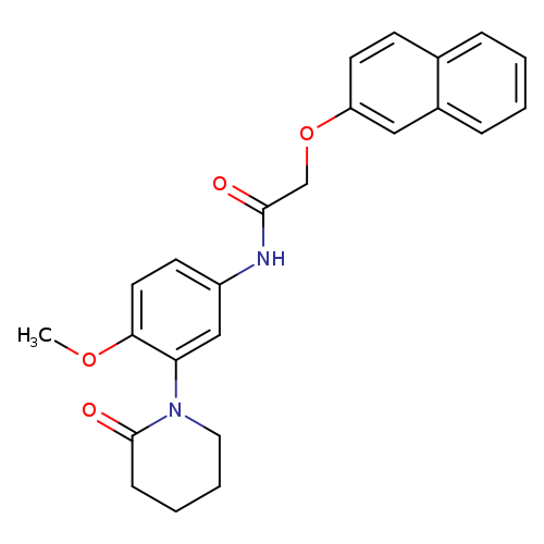 N-[4-methoxy-3-(2-oxopiperidin-1-yl)phenyl]-2-(naphthalen-2-yloxy)acetamide