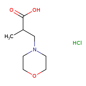 2-Methyl-3-(morpholin-4-yl)propanoic acid hydrochloride