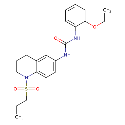 1-(2-ethoxyphenyl)-3-[1-(propane-1-sulfonyl)-1,2,3,4-tetrahydroquinolin-6-yl]urea