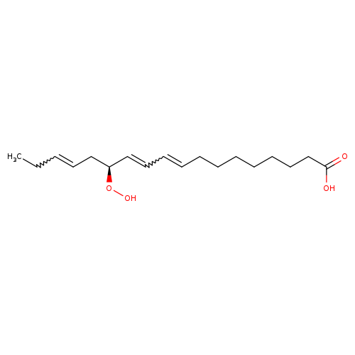 13(S)-HYDROPEROXY-(9Z,11E,15Z)-OCTADECATRIENOIC ACID