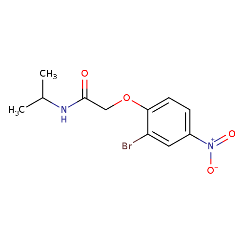 2-(2-Bromo-4-nitrophenoxy)-N-isopropylacetamide