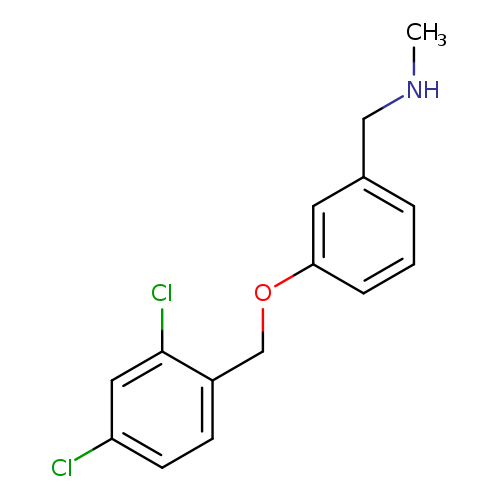 N-{3-[(2,4-dichlorobenzyl)oxy]benzyl}-N-methylamine