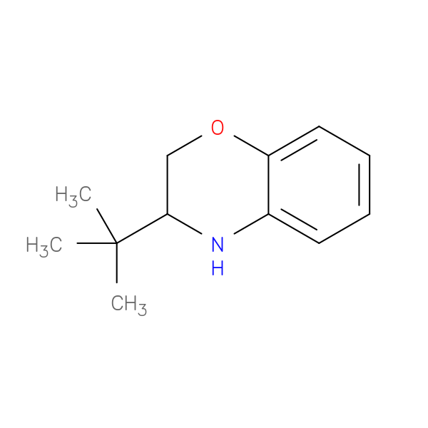 3-(tert-Butyl)-3,4-dihydro-2H-benzo[b][1,4]oxazine