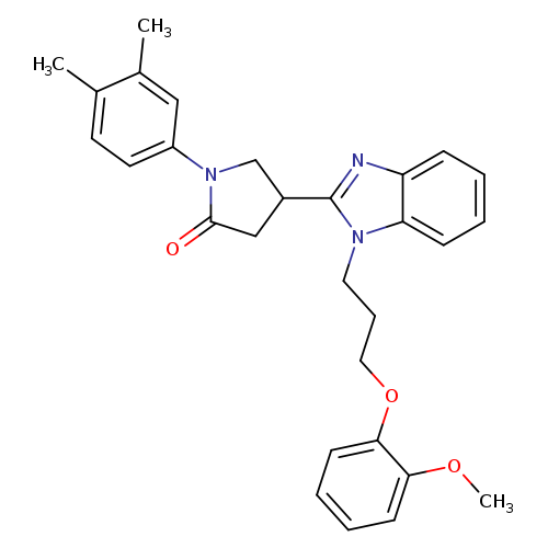 1-(3,4-dimethylphenyl)-4-{1-[3-(2-methoxyphenoxy)propyl]-1H-1,3-benzodiazol-2-yl}pyrrolidin-2-one