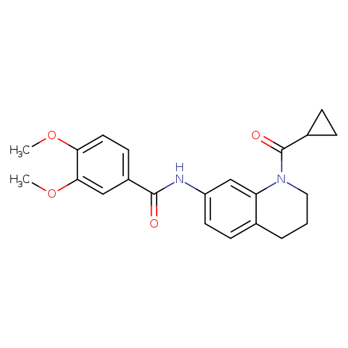 N-(1-cyclopropanecarbonyl-1,2,3,4-tetrahydroquinolin-7-yl)-3,4-dimethoxybenzamide