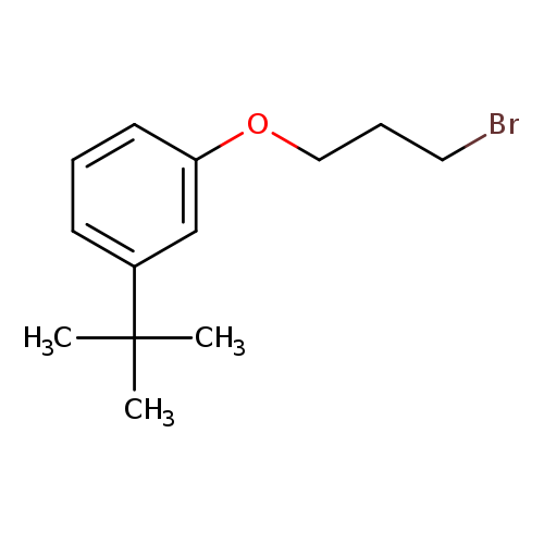 1-(3-Bromopropoxy)-3-tert-butylbenzene