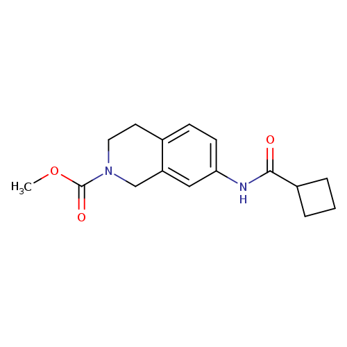 methyl 7-cyclobutaneamido-1,2,3,4-tetrahydroisoquinoline-2-carboxylate
