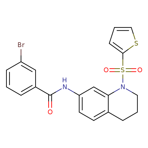3-bromo-N-[1-(thiophene-2-sulfonyl)-1,2,3,4-tetrahydroquinolin-7-yl]benzamide