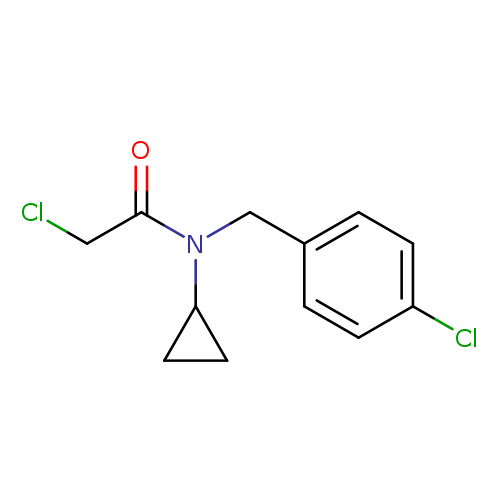 2-Chloro-N-(4-chloro-benzyl)-N-cyclopropyl-acetaMide