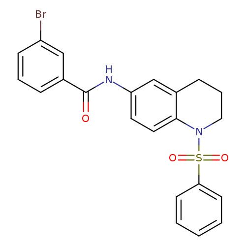 N-[1-(benzenesulfonyl)-1,2,3,4-tetrahydroquinolin-6-yl]-3-bromobenzamide