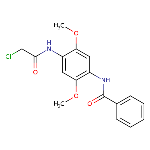 N-[4-(2-chloroacetamido)-2,5-dimethoxyphenyl]benzamide