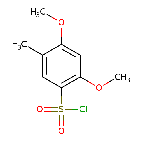 2,4-dimethoxy-5-methylbenzene-1-sulfonyl chloride