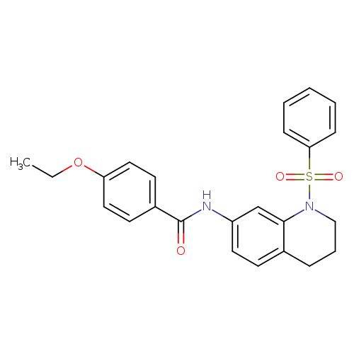 N-[1-(benzenesulfonyl)-1,2,3,4-tetrahydroquinolin-7-yl]-4-ethoxybenzamide