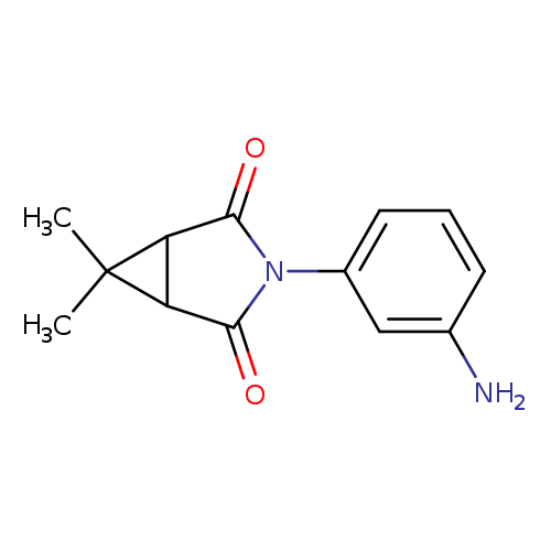 3-(3-aminophenyl)-6,6-dimethyl-3-azabicyclo[3.1.0]hexane-2,4-dione