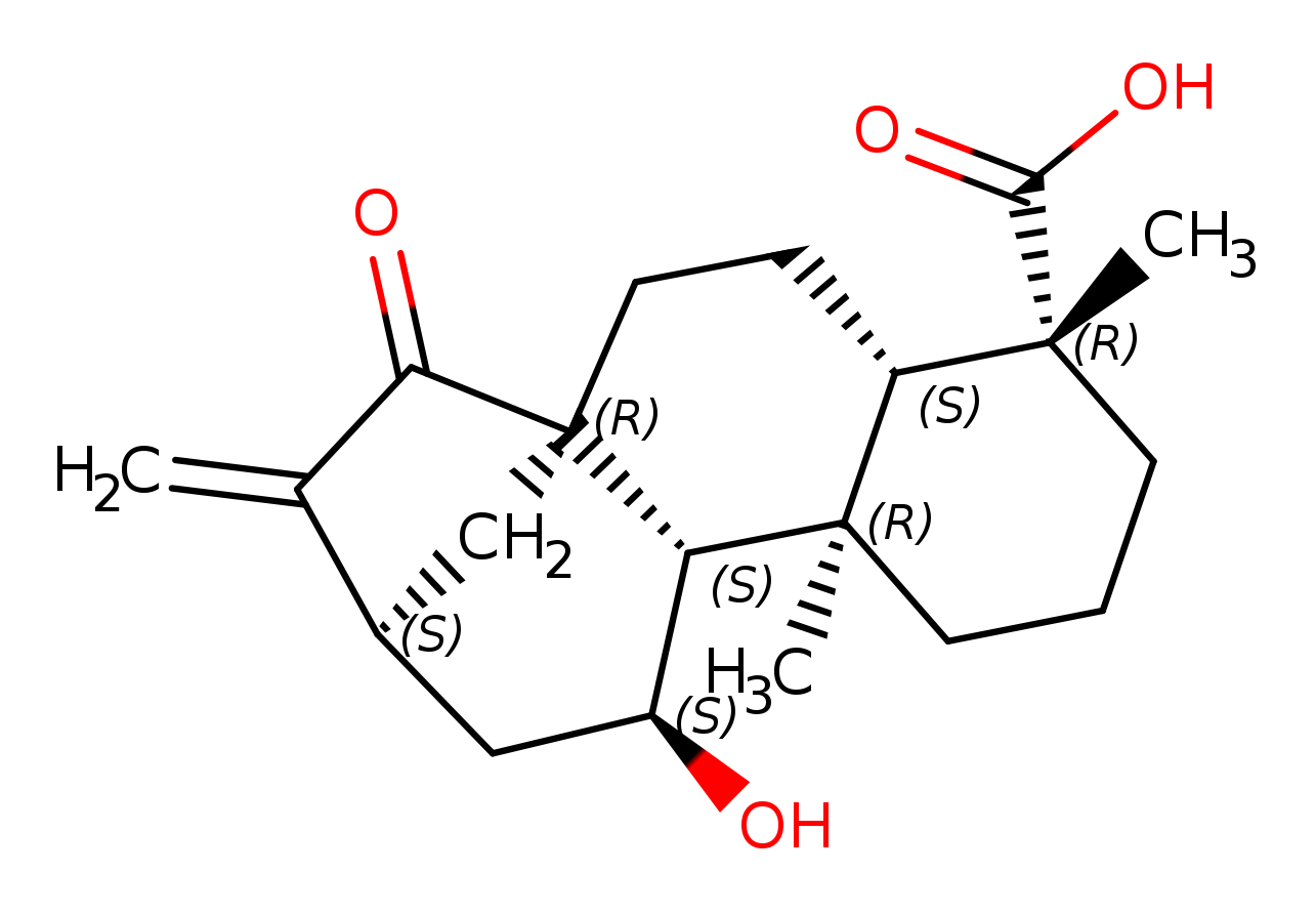 ent-11α-Hydroxy-15-oxokaur-16-en-19-oic acid
