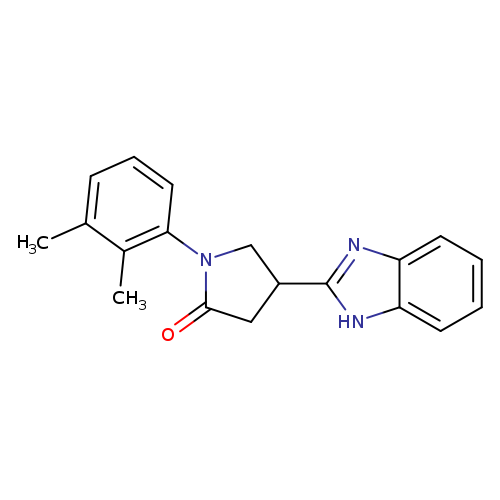 4-(1H-benzimidazol-2-yl)-1-(2,3-dimethylphenyl)pyrrolidin-2-one