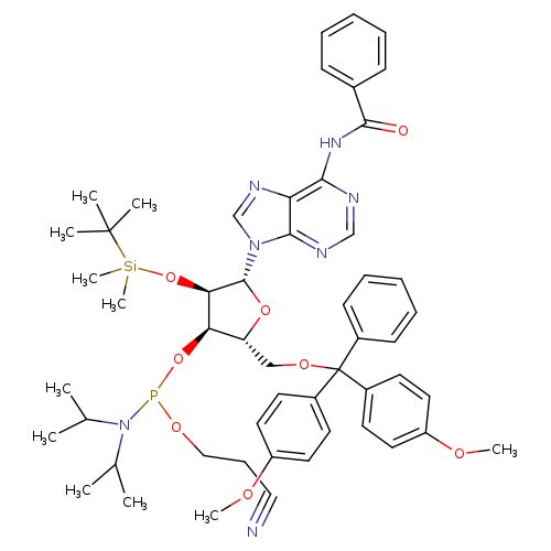 Adenosine, N-benzoyl-5'-O-[bis(4-methoxyphenyl)phenylmethyl]-2'-O-[(1,1-dimethylethyl)dimethylsilyl]-, 3'-[2-cyanoethyl N,N-bis(1-methylethyl)phosphoramidite]