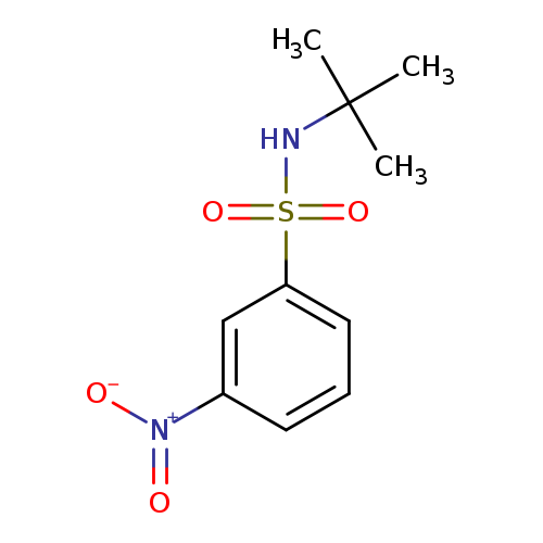 N-t-Butyl 3-nitrobenzenesulfonamide