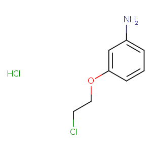 [3-(2-chloroethoxy)phenyl]amine hydrochloride