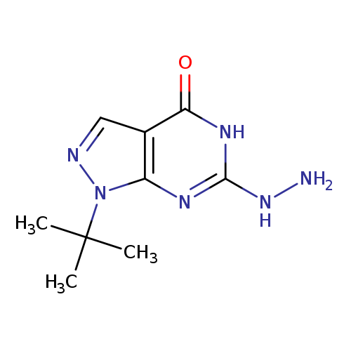 1-tert-butyl-6-hydrazinyl-1H,4H,5H-pyrazolo[3,4-d]pyrimidin-4-one