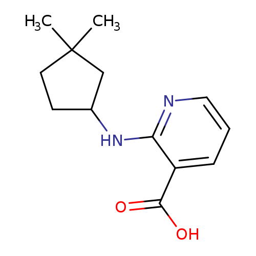2-[(3,3-dimethylcyclopentyl)amino]pyridine-3-carboxylicacid