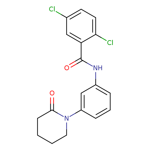 2,5-dichloro-N-[3-(2-oxopiperidin-1-yl)phenyl]benzamide