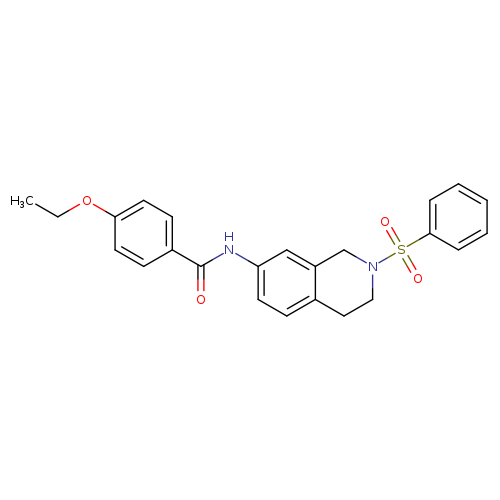 N-[2-(benzenesulfonyl)-1,2,3,4-tetrahydroisoquinolin-7-yl]-4-ethoxybenzamide