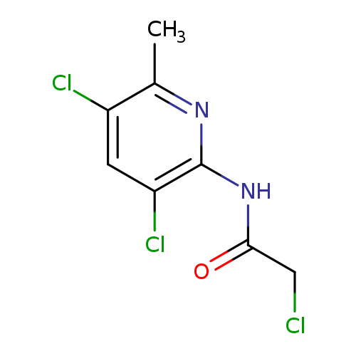2-chloro-N-(3,5-dichloro-6-methylpyridin-2-yl)acetamide