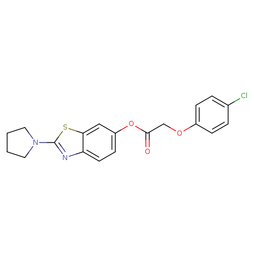 2-(pyrrolidin-1-yl)-1,3-benzothiazol-6-yl 2-(4-chlorophenoxy)acetate