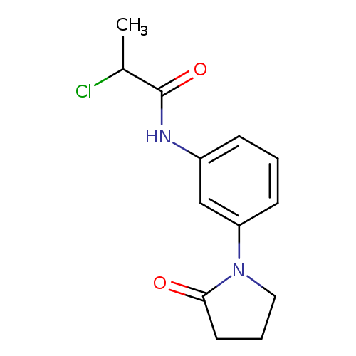 2-chloro-N-[3-(2-oxopyrrolidin-1-yl)phenyl]propanamide