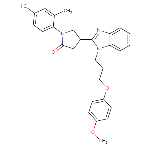 1-(2,4-dimethylphenyl)-4-{1-[3-(4-methoxyphenoxy)propyl]-1H-1,3-benzodiazol-2-yl}pyrrolidin-2-one