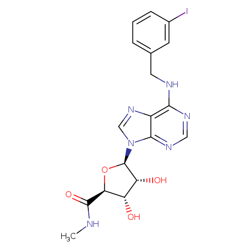 N6-(3-Iodobenzyl)adenosine-5'-N-methyluronamide