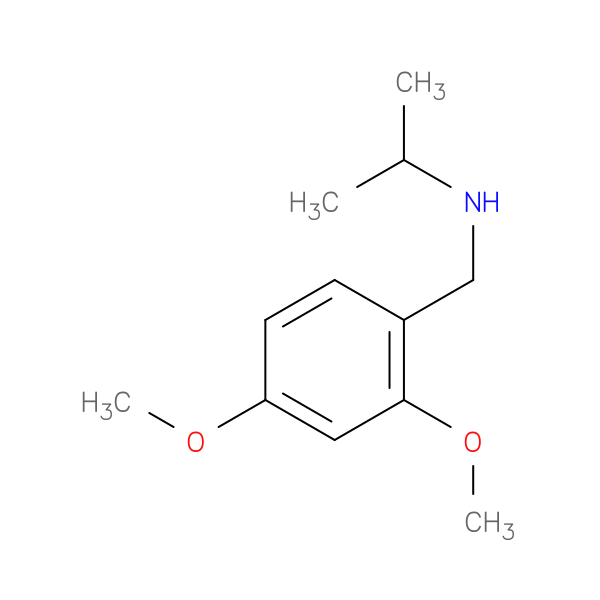 [(2,4-dimethoxyphenyl)methyl](propan-2-yl)amine