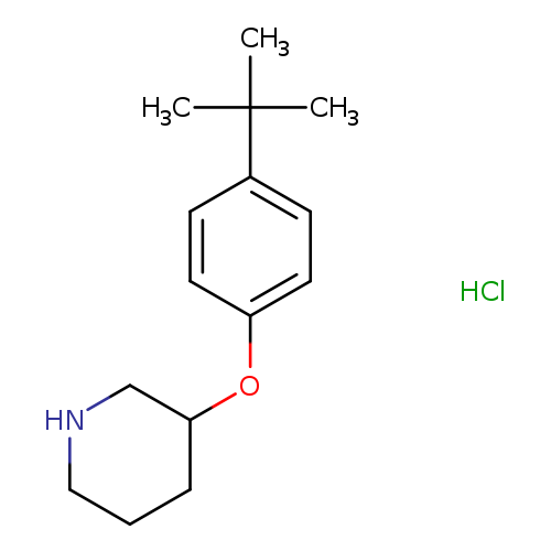 3-(4-tert-Butylphenoxy)piperidine HCl