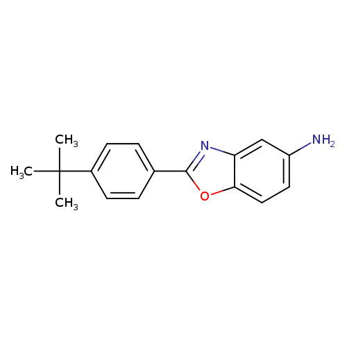 2-(4-tert-Butylphenyl)-1,3-benzoxazol-5-amine
