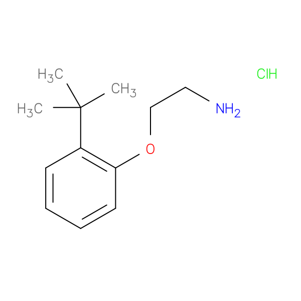 2-(2-tert-butylphenoxy)ethan-1-amine hydrochloride