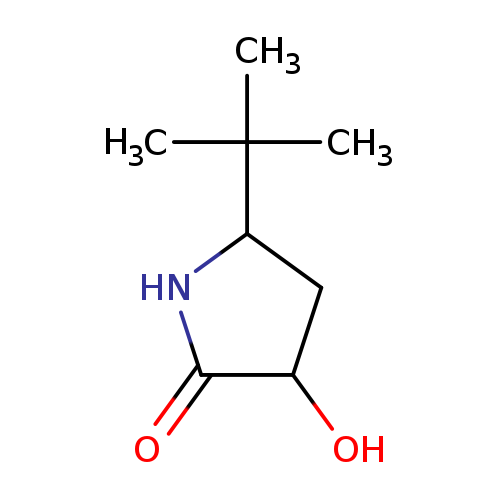5-tert-butyl-3-hydroxypyrrolidin-2-one