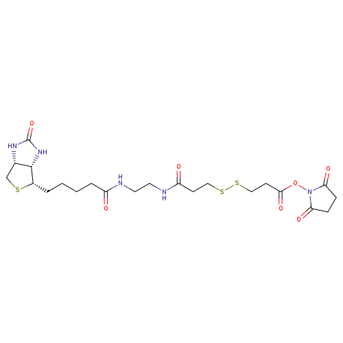 (3aS,4S,6aR)-N-[2-[[3-[[3-[(2,5-Dioxo-1-pyrrolidinyl)oxy]-3-oxopropyl]dithio]-1-oxopropyl]amino]ethyl]hexahydro-2-oxo-1H-thieno[3,4-d]imidazole-4-pentanamide